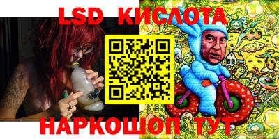 крисы Коммунар