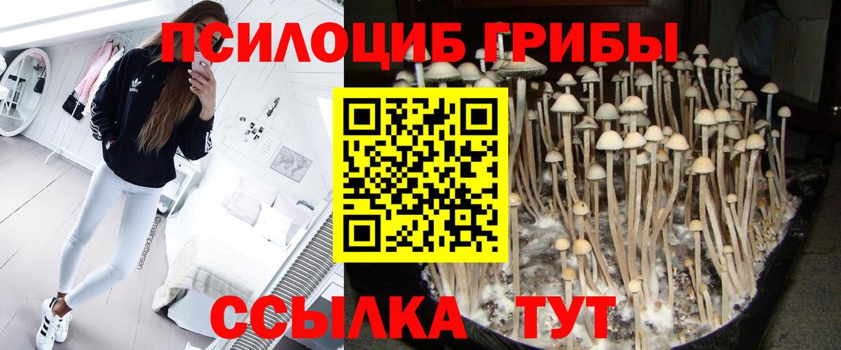 Галлюциногенные грибы GOLDEN TEACHER  Галлюциногенные грибы Magic Shrooms  Вход с VPN  Киров 